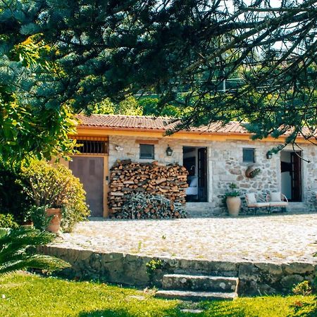 The Quixote House Bed and Breakfast Caminha Exterior foto